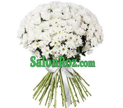 A charming bouquet of chamomile chrysanthemums A charming bouquet of chamomile chrysanthemums