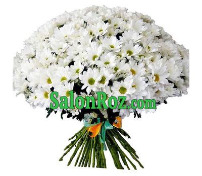 A huge bouquet of chamomile chrysanthemums A huge bouquet of chamomile chrysanthemums