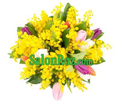 Sunny bouquet of mimosa and tulips Sunny bouquet of mimosa and tulips