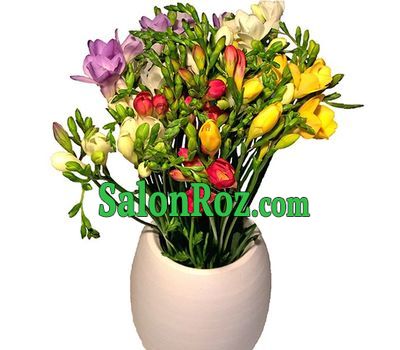 A modern bouquet of freesias A modern bouquet of freesias