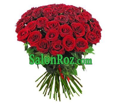Amazing bouquet of red roses Amazing bouquet of red roses