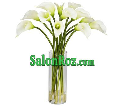Magic bouquet of callas Magic bouquet of callas