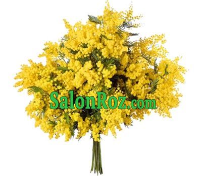 Yellow mimosa in bouquet Yellow mimosa in bouquet