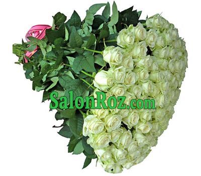 101 white Ukrainian rose 80 cm 101 white Ukrainian rose 80 cm