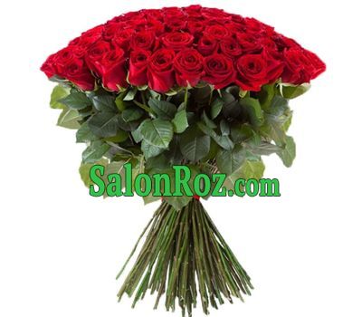 101 red rose 80 cm 101 red rose 80 cm