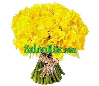 101 daffodils in a bouquet 101 daffodils in a bouquet