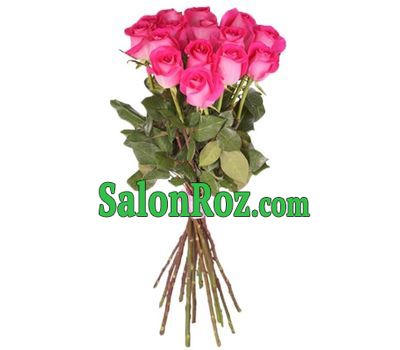 15 pink meter roses 15 pink meter roses