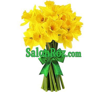 15 yellow daffodils 15 yellow daffodils