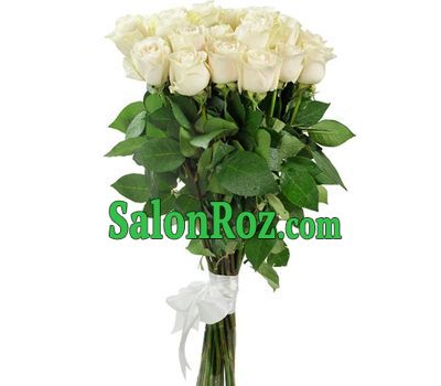 19 white imported roses 19 white imported roses