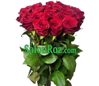 19 red roses 80 cm 19 red roses 80 cm