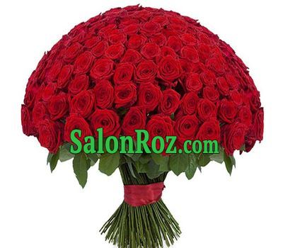 201 red rose 201 red rose
