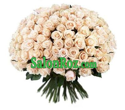 201 cream-colored rose 201 cream-colored rose