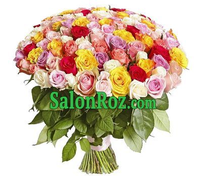 201 multi-colored rose 201 multi-colored rose