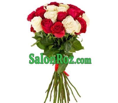 21 red and white rose 80 cm 21 red and white rose 80 cm