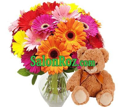 25 gerberas and teddy bear 25 gerberas and teddy bear