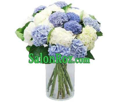 25 gorgeous hydrangeas 25 gorgeous hydrangeas