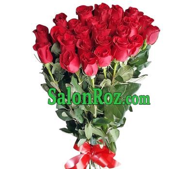 31 meter rose 31 meter rose