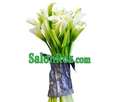 35 white callas 35 white callas