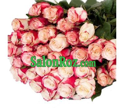 35 import roses 80 cm 35 import roses 80 cm