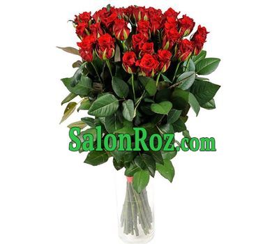 35 red roses 80 cm 35 red roses 80 cm