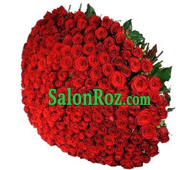 351 red rose in a giant bouquet 351 red rose in a giant bouquet