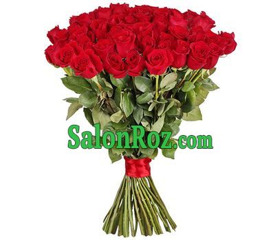 41 red imported rose 80 cm 41 red imported rose 80 cm