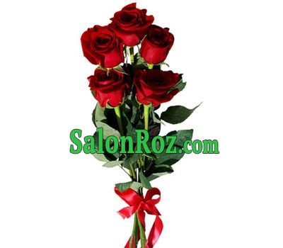 5 imported red roses 5 imported red roses
