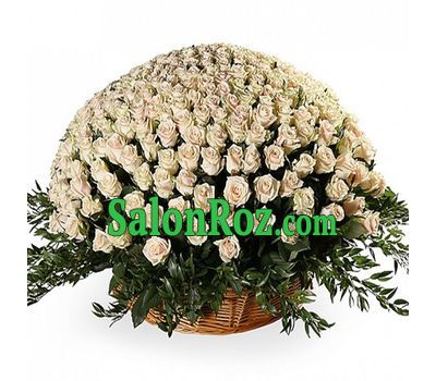 501 cream rose 501 cream rose