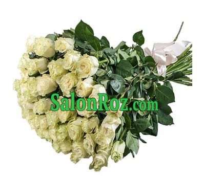 51 white meter rose 51 white meter rose
