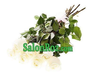 7 roses 1 meter 7 roses 1 meter