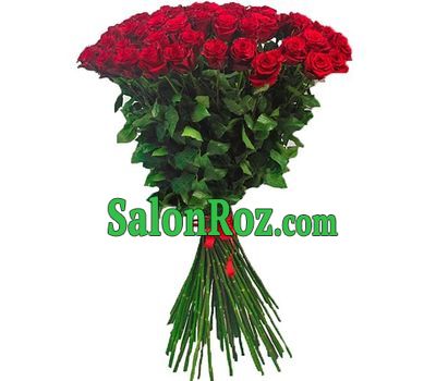 75 roses 1 meter 75 roses 1 meter