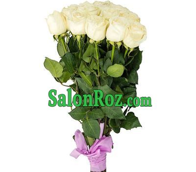 White Meter Roses White Meter Roses