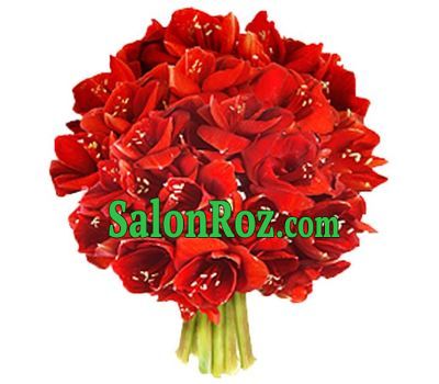 Large bouquet of amaryllis Large bouquet of amaryllis