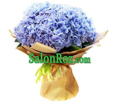 Bouquet of blue hydrangeas in paper Bouquet of blue hydrangeas in paper