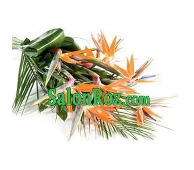 Букет из 11 стрелиций