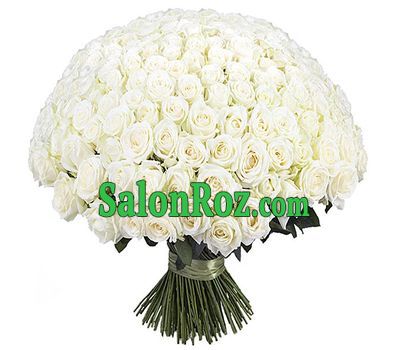 Bouquet of 251 white roses Bouquet of 251 white roses
