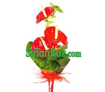 Bouquet of 3 anthuriums Bouquet of 3 anthuriums
