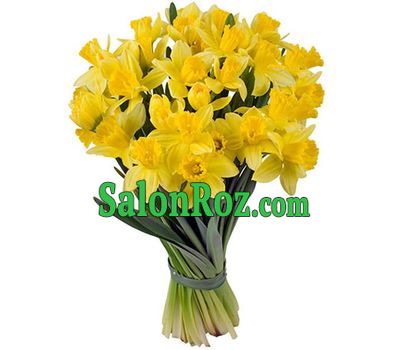 Bouquet of 35 daffodils Bouquet of 35 daffodils