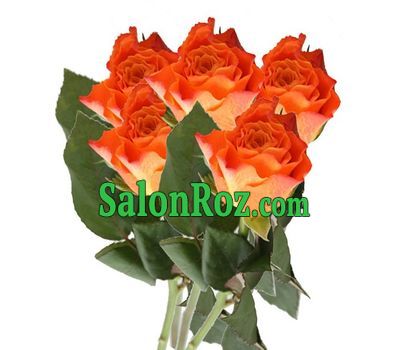 Bouquet of 5 orange roses Bouquet of 5 orange roses