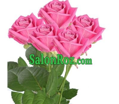 Bouquet of 5 pink roses Bouquet of 5 pink roses