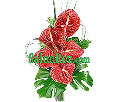 Bouquet from exotic anthuriums Bouquet from exotic anthuriums