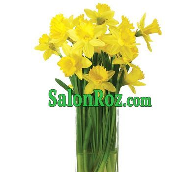 Bouquet of daffodils Bouquet of daffodils