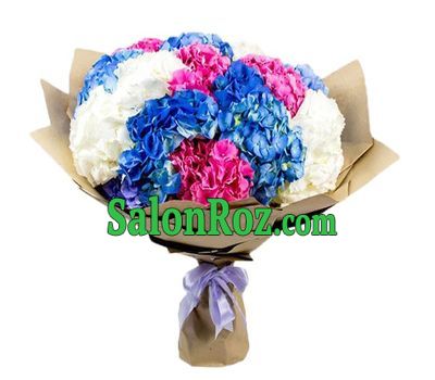 Bouquet of cute hydrangeas Bouquet of cute hydrangeas