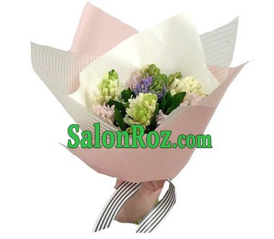Hyacinths in gentle design Hyacinths in gentle design