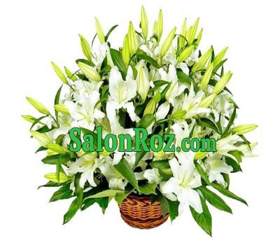 Basket of 25 lilies Basket of 25 lilies