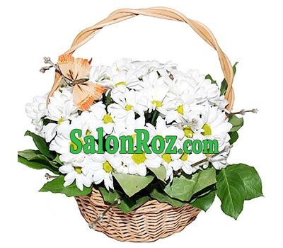 Basket with white chrysanthemums Basket with white chrysanthemums