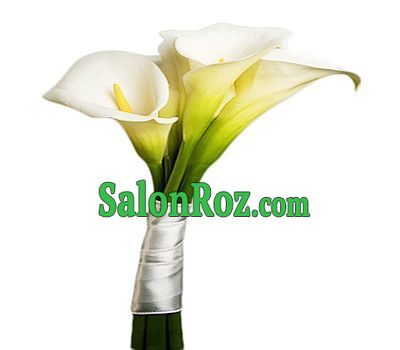 Mini bouquet of callas Mini bouquet of callas