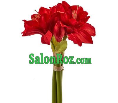 A small bouquet of amaryllis A small bouquet of amaryllis