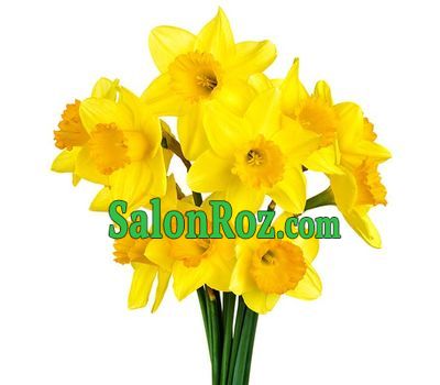 A small bouquet of daffodils A small bouquet of daffodils