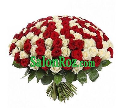 A huge bunch of 201 red and white roses A huge bunch of 201 red and white roses